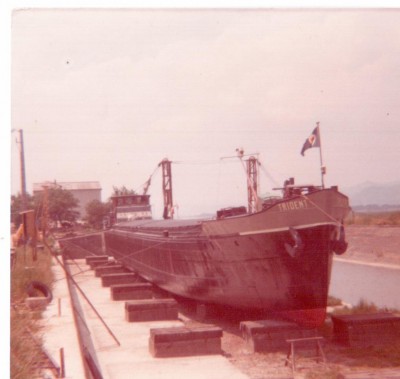 trident.jpg (114.16 Kio) Vu 6673 fois trident.jpg