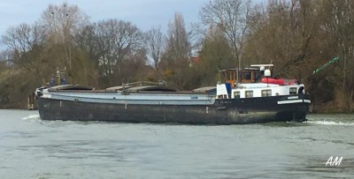 Razorback a.jpg (127.56 Kio) Vu 7212 fois Razorback a.jpg