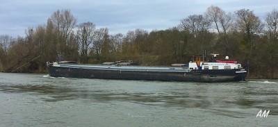 Razorback b.jpg (165.92 Kio) Vu 7212 fois Razorback b.jpg