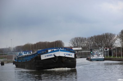 IMG_9301.JPG