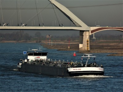 Tricolore-1-27-02-2019-Nijmegen (2).JPG