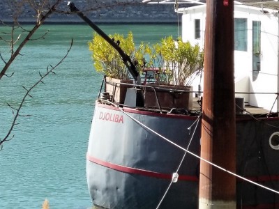 20190323_151610 (Copier).jpg (135.95 Kio) Vu 3244 fois 20190323_151610 (Copier).jpg