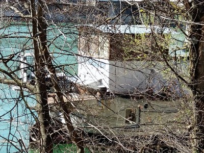 20190323_150931 (Copier).jpg