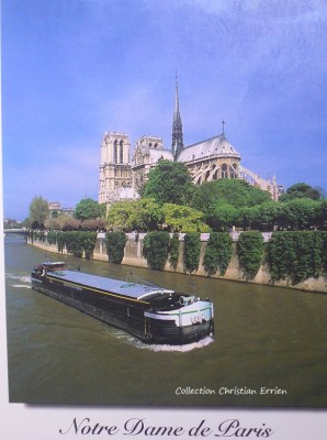 P1000155 (2).JPG
