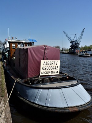 Albert-V-2-19-04-2019-Groningen.jpg