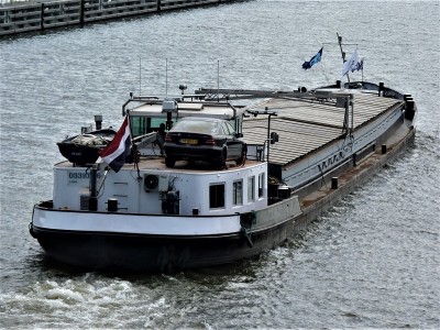 S-Inne-6-24-04-2019-Sambeek (2).JPG (280.39 Kio) Vu 1607 fois S-Inne-6-24-04-2019-Sambeek (2).JPG