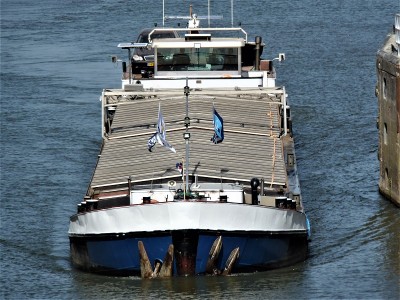 S-Inne-3-24-04-2019-Sambeek (2).JPG (257.64 Kio) Vu 1607 fois S-Inne-3-24-04-2019-Sambeek (2).JPG