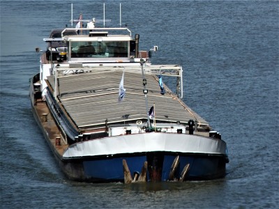 S-Inne-2-24-04-2019-Sambeek (2).JPG (221.2 Kio) Vu 1607 fois S-Inne-2-24-04-2019-Sambeek (2).JPG