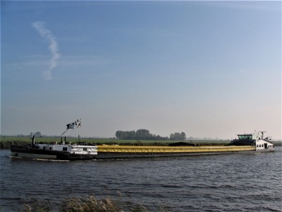 smalagt-3-1-11-10-2008.jpg