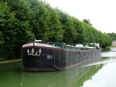 anova-av.JPG (262.37 Kio) Vu 10166 fois anova-av.JPG