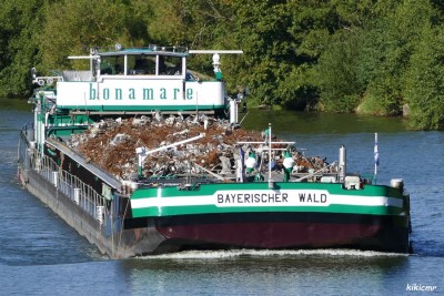 BAYERISCHER WALD à Belleville - 9 septembre 2018 (1).JPG