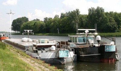 Nived - 1xx.jpg