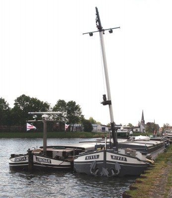 Nived - 2xx.jpg
