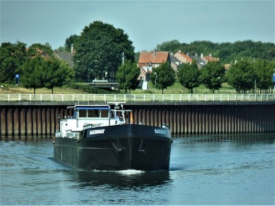 Bakermat-2-29-05-2019-sluis-Lith (2).JPG