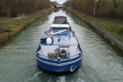 SAUVEUR Saint-Germain-la-Ville 20 décembre 2018 (7) vagus.JPG