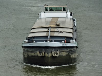 Bernardus-D-1-28-05-2019-sluis-Weurt (2).JPG
