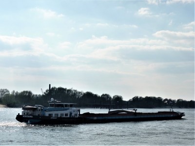 Miryana-2-11-04-2019-Oosterhout (2).JPG (146.95 Kio) Vu 1307 fois Miryana-2-11-04-2019-Oosterhout (2).JPG