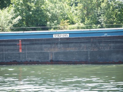 P6216809 (Copier).JPG (967.5 Kio) Vu 2735 fois P6216809 (Copier).JPG