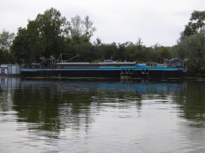 P1000783 (800x600).jpg