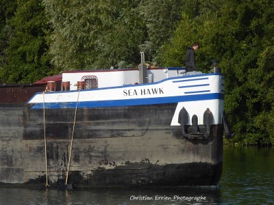 Sea Hawk St Mammès2 - Copie.JPG