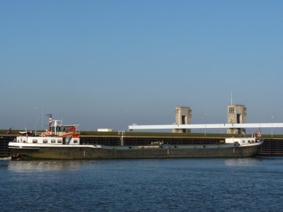 wiliie-2-10-03-201.jpg