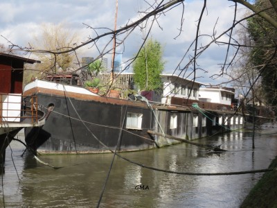 alize-av.JPG (938.6 Kio) Vu 3693 fois alize-av.JPG