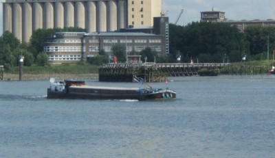 Regina coeli.jpg