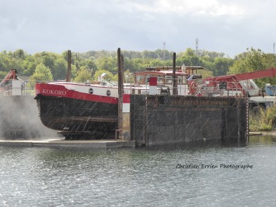 Kokoro Veneux1 - Copie.JPG (215.33 Kio) Vu 2440 fois Kokoro Veneux1 - Copie.JPG