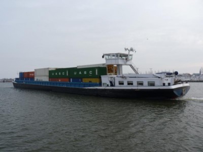 iris413012010.jpg