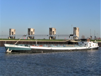 pascal-v-1-12-12-2006.jpg (204.52 Kio) Vu 2167 fois pascal-v-1-12-12-2006.jpg