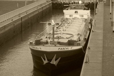 Pascal-V-1-22-11-2019-sluis-Sambeek (2).jpg