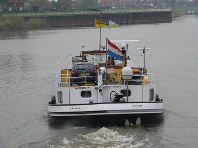dolfijn-4-31-03-2011.jpg