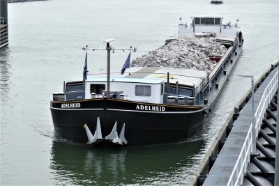 Adelheid-2-19-07-2019-Hansweert.jpg