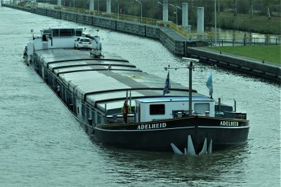 Adelheid-1-21-11-2019-sluis-Sambeek (2).jpg (113.95 Kio) Vu 1648 fois Adelheid-1-21-11-2019-sluis-Sambeek (2).jpg