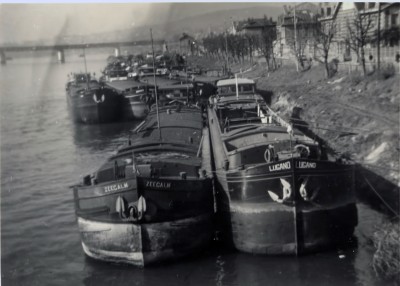 lugano+zeecalm@dmenu.jpg (239.25 Kio) Vu 1806 fois lugano+zeecalm@dmenu.jpg