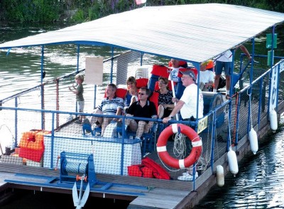 OFNI p (Copier).jpg (186.77 Kio) Vu 2004 fois OFNI p (Copier).jpg