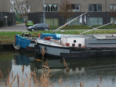 2007_1113x20050.JPG