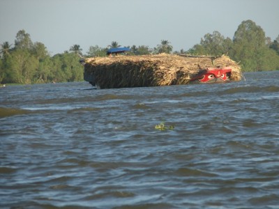 DSC03126.JPGa.jpg (94.22 Kio) Vu 1153 fois DSC03126.JPGa.jpg