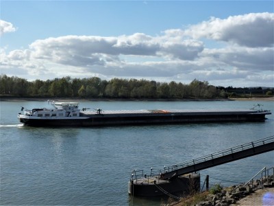 Miklos-H-2-22-10-2018-Emmerich.jpg (86.82 Kio) Vu 1414 fois Miklos-H-2-22-10-2018-Emmerich.jpg