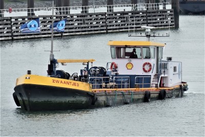 Zwaantje-3-1-19-07-2019-Hansweert.jpg