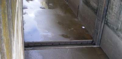 IMGP1604 (2) (Copier).JPG (79.5 Kio) Vu 19604 fois IMGP1604 (2) (Copier).JPG