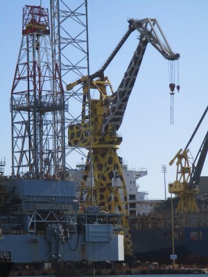 IMG_0681 (Copier).JPG (90.72 Kio) Vu 1992 fois IMG_0681 (Copier).JPG