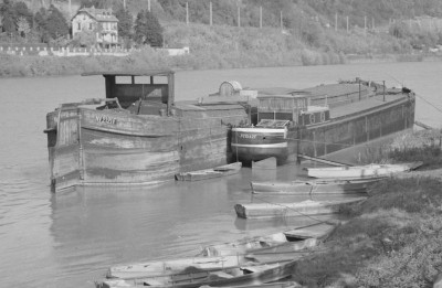 Berrichon P 11 542.JPG (70.73 Kio) Vu 1657 fois Berrichon P 11 542.JPG