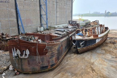 SUBTILE (1).jpg (204.29 Kio) Vu 2093 fois SUBTILE (1).jpg