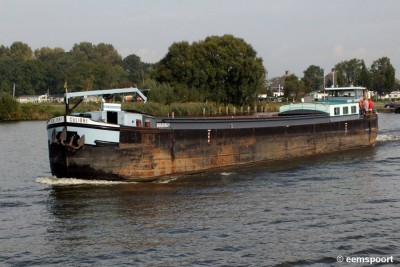 COLIBRI (1).jpg (143.04 Kio) Vu 2335 fois COLIBRI (1).jpg