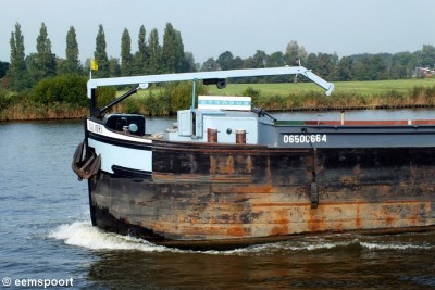 COLIBRI (2).jpg (157.84 Kio) Vu 2335 fois COLIBRI (2).jpg