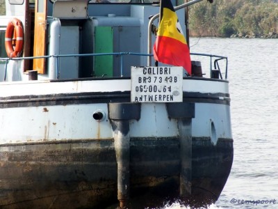 COLIBRI (4).jpg (137.56 Kio) Vu 2335 fois COLIBRI (4).jpg