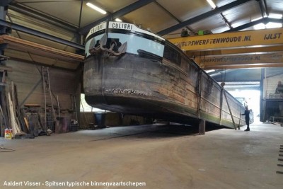 COLIBRI (5).jpg (107.43 Kio) Vu 2335 fois COLIBRI (5).jpg