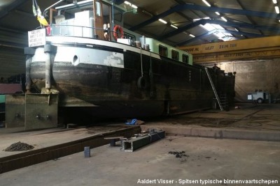 COLIBRI (6).jpg (98.87 Kio) Vu 2335 fois COLIBRI (6).jpg