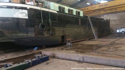 COLIBRI (7).jpg (113.53 Kio) Vu 2330 fois COLIBRI (7).jpg